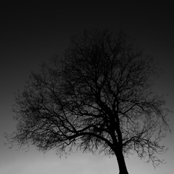 E/G