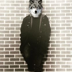 Project Fenris