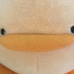 Hi