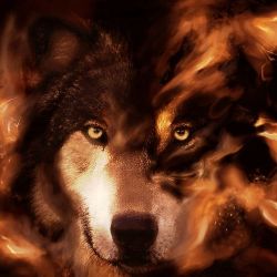 BlackFireWolf