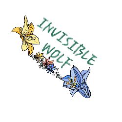 INVISIBLE WOLF