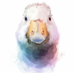 THE_GOOSE