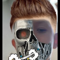 Enis